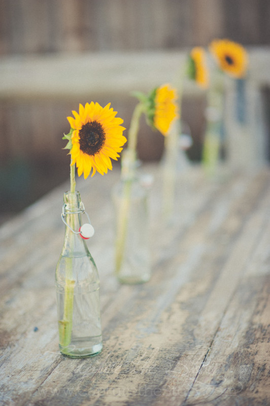 Redding_CA_Wedding_Photography-3