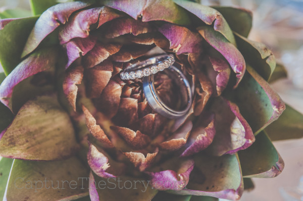 Bay_Area_Napa_California_Wedding_Photographer-8